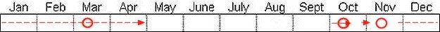 Seasonal status from Fraser Valley Birding records